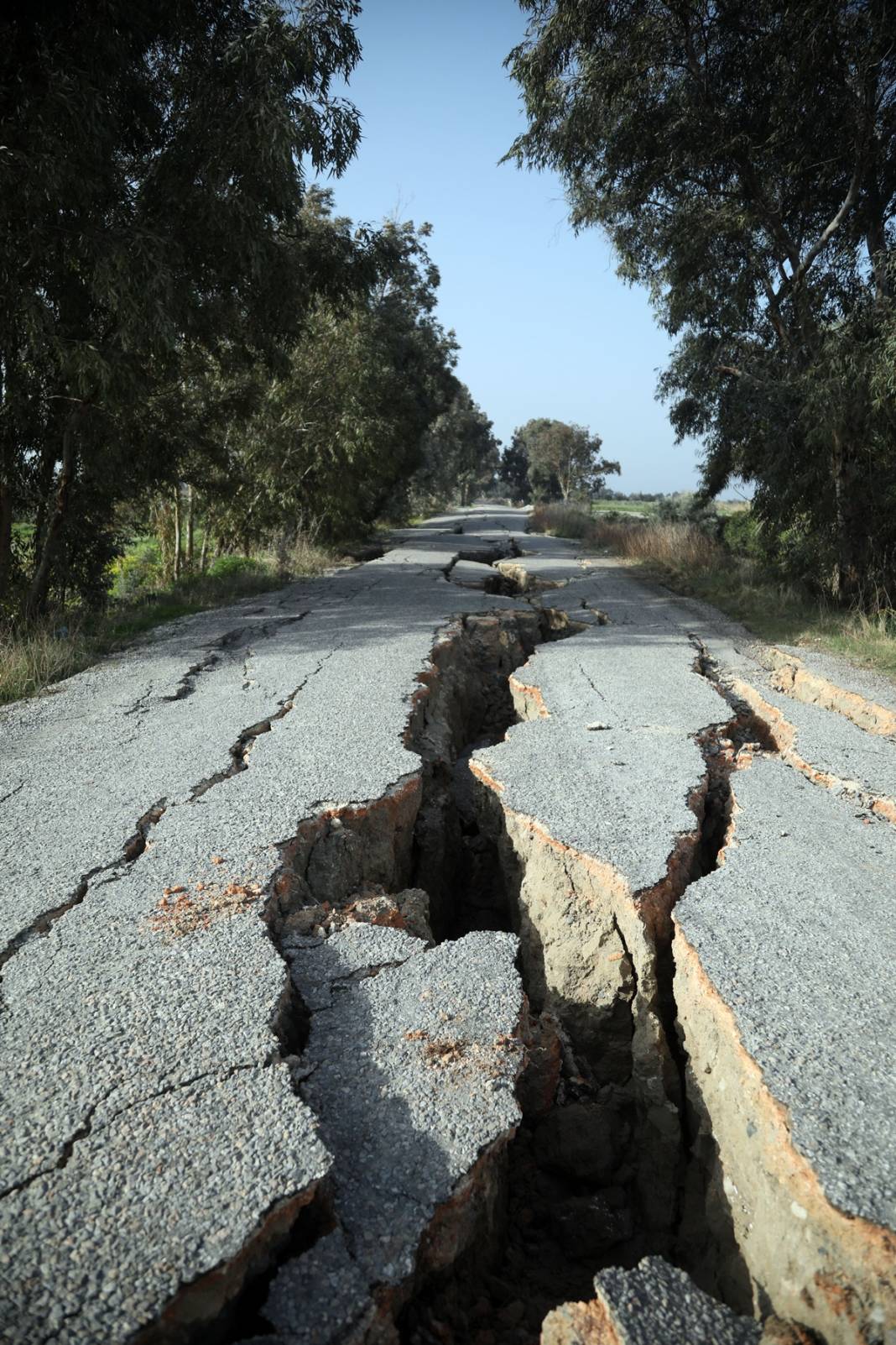 İçine insan girebiliyor, korkutucu görüntüler! Kuş Cenneti'ne giden yolun 2 kilometresi depremde yarıldı 18